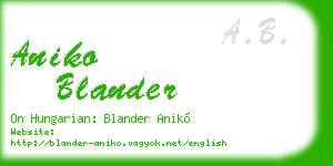 aniko blander business card